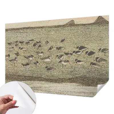 Papier peint photo grand format pour le mur La paix des oiseaux
