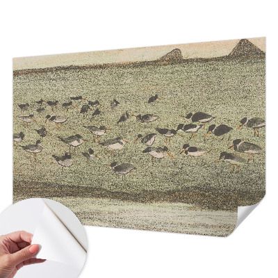 Papier peint panoramique adhésif Vtáčí pokoj