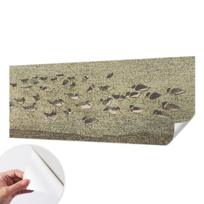 Papier peint panoramique adhésif Vtáčí pokoj
