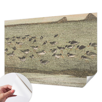 Papier peint panoramique adhésif Vtáčí pokoj