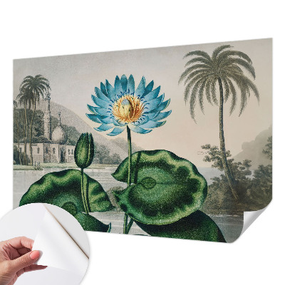 Papier peint chambre garçon Exotická krajina