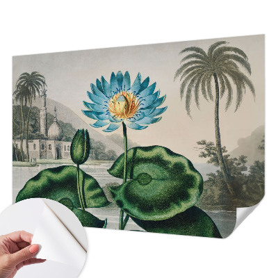 Papier peint chambre garçon Exotická krajina
