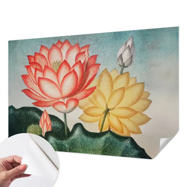 Papier peint intissé fleurs de lotus