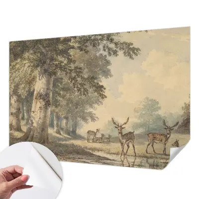 Papier peint photo imprimé sur tissu non tissé Paix de la forêt