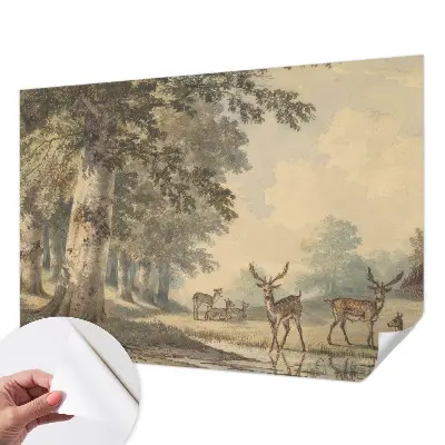 Papier peint photo imprimé sur tissu non tissé Paix de la forêt