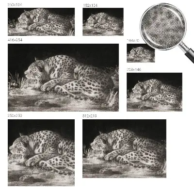 Papier peint photographique sur tissu non tissé Léopard au repos