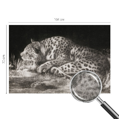 Papier peint chambre ado Leopard odpočíva