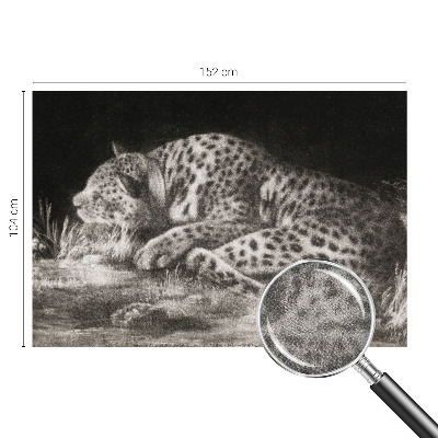 Papier peint chambre ado Leopard odpočíva