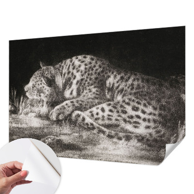 Papier peint chambre ado Leopard odpočíva