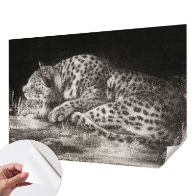 Papier peint chambre ado Leopard odpočíva