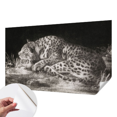Papier peint chambre ado Leopard odpočíva