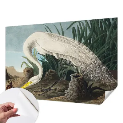 Papier peint intissé Héron majestueux