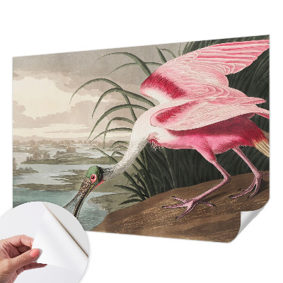 Papier peint panoramique adhésif Exotický vták
