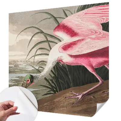 Papier peint photo grand format pour le mur Oiseau exotique