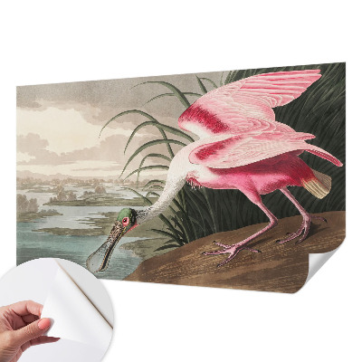 Papier peint panoramique adhésif Exotický vták