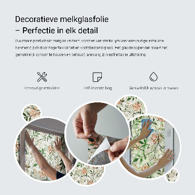 Sticker fenêtre vitrail adhésif Modèles végétaux