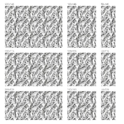 Sticker fenêtre vitrail adhésif feuilles tropicales