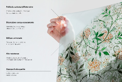 Brise-vue pour fenêtre mandalas colorés