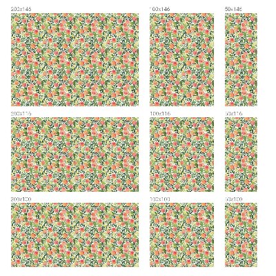 Film occultant pour fenêtre Modèle de fruit