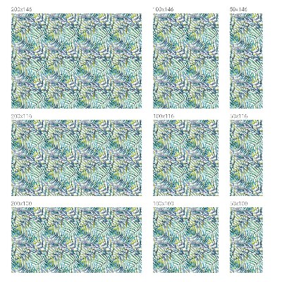 Film solaire fenêtre décoratif aspect vitrail aquarelle tropicale