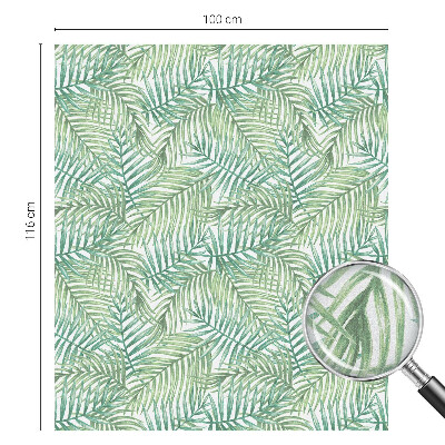 Film occultant pour fenêtre fougère verte