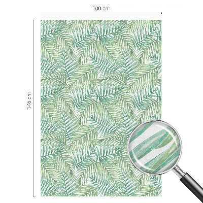 Film occultant pour fenêtre fougère verte