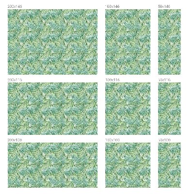 Film occultant pour fenêtre fougère verte