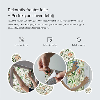 Brise-vue pour fenêtre plantes succulentes vertes