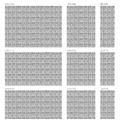 Film adhésif pour vitrage dépoli vitrail élégance florale