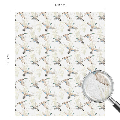 Film occultant pour fenêtre Les oiseaux et la nature