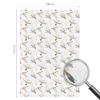 Film occultant pour fenêtre Les oiseaux et la nature