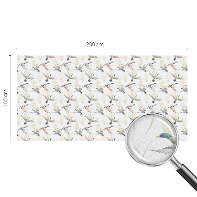 Film occultant pour fenêtre Les oiseaux et la nature