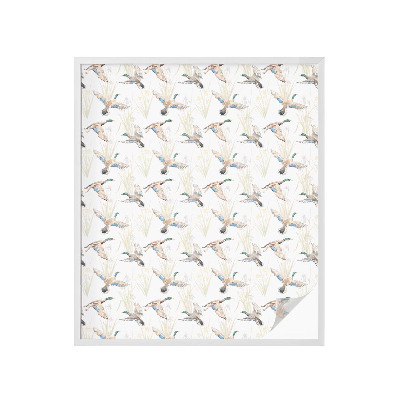 Film occultant pour fenêtre Les oiseaux et la nature