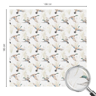 Film occultant pour fenêtre Les oiseaux et la nature