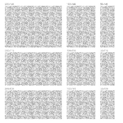 Film occultant pour fenêtre motif floral