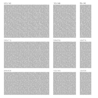 Sticker fenêtre vitrail adhésif Élégance feuillue