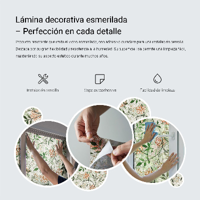 Brise-vue pour fenêtre Modèle de plante