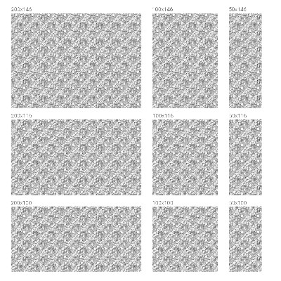 Film occultant pour fenêtre Portraits classiques