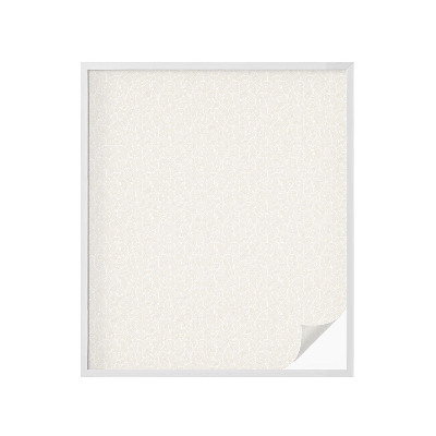 Film solaire fenêtre décoratif aspect vitrail Plante ornementale