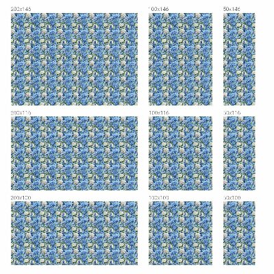 Film occultant pour fenêtre charme floral