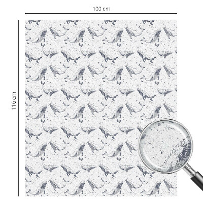 Film occultant pour fenêtre créatures marines