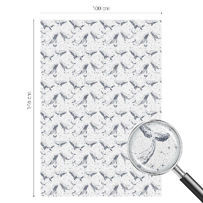 Film occultant pour fenêtre créatures marines