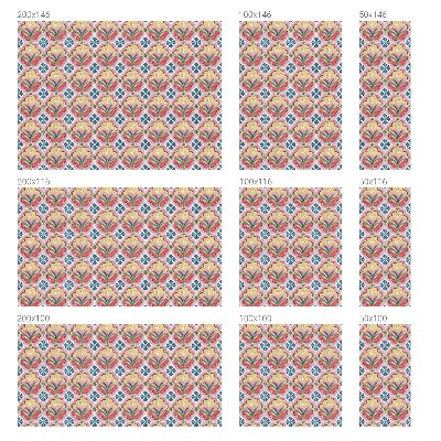 Film occultant pour fenêtre Motifs floraux