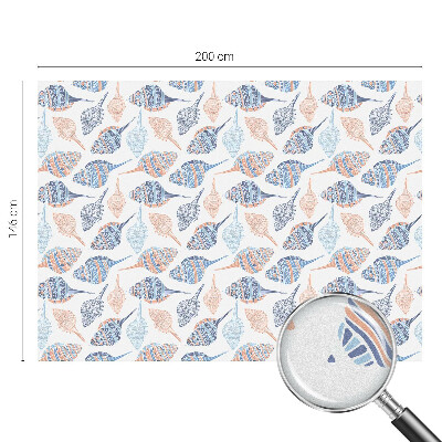 Film occultant pour fenêtre Coquillages
