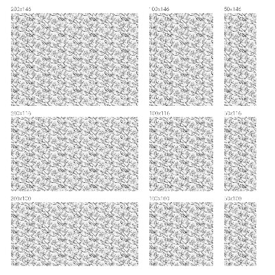 Film solaire fenêtre décoratif aspect vitrail Oiseaux et fleurs