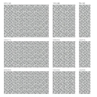 Film adhésif pour vitrage dépoli vitrail Motif botanique