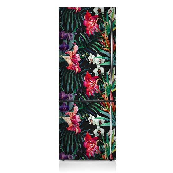 Decoration frigo magnetique Amazone