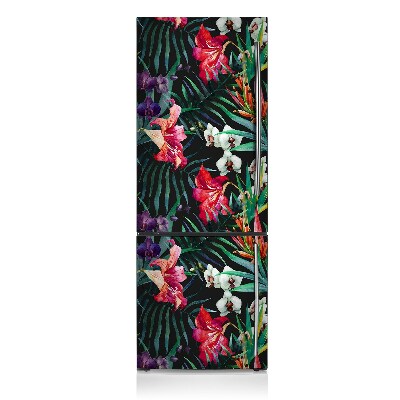 Decoration frigo magnetique Amazone