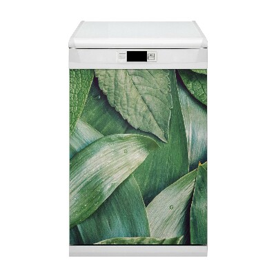 Magnet pour lave vaisselle Feuilles vertes