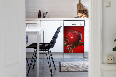 Deco magnetique pour lave vaisselle Pomme rouge